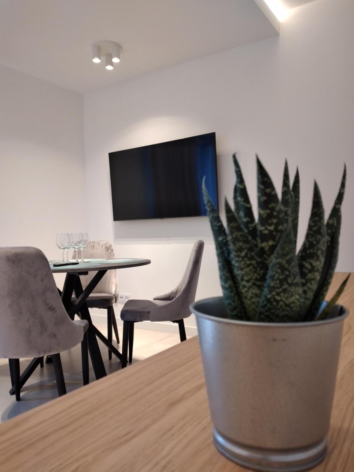 Apartament Zrodlana Ski 300M Świeradów-Zdrój 外观 照片